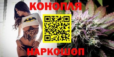 прущие крисы Нарткала