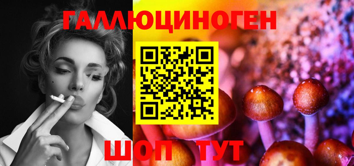 Галлюциногенные грибы MAGIC MUSHROOMS  Вход с VPN  Богданович 